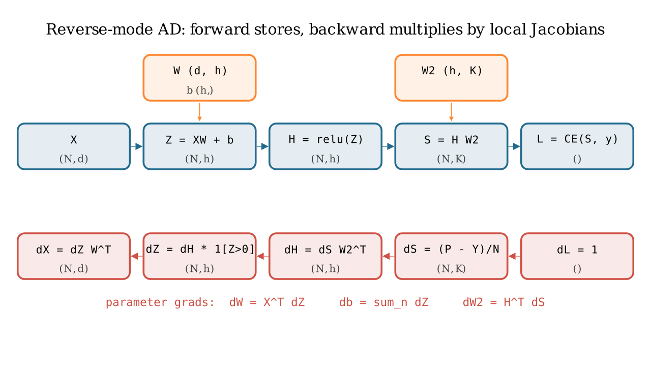 Manim still: reverse-mode gradient flow