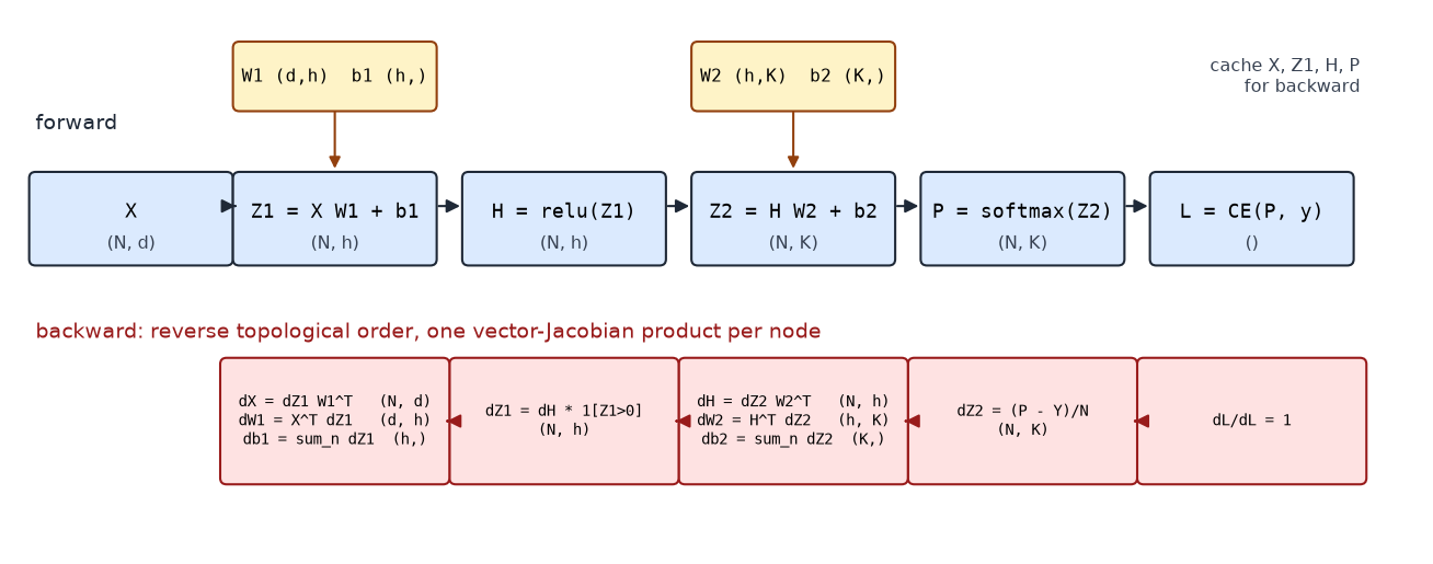 Computational graph of a two-layer MLP with forward shapes and backward gradients