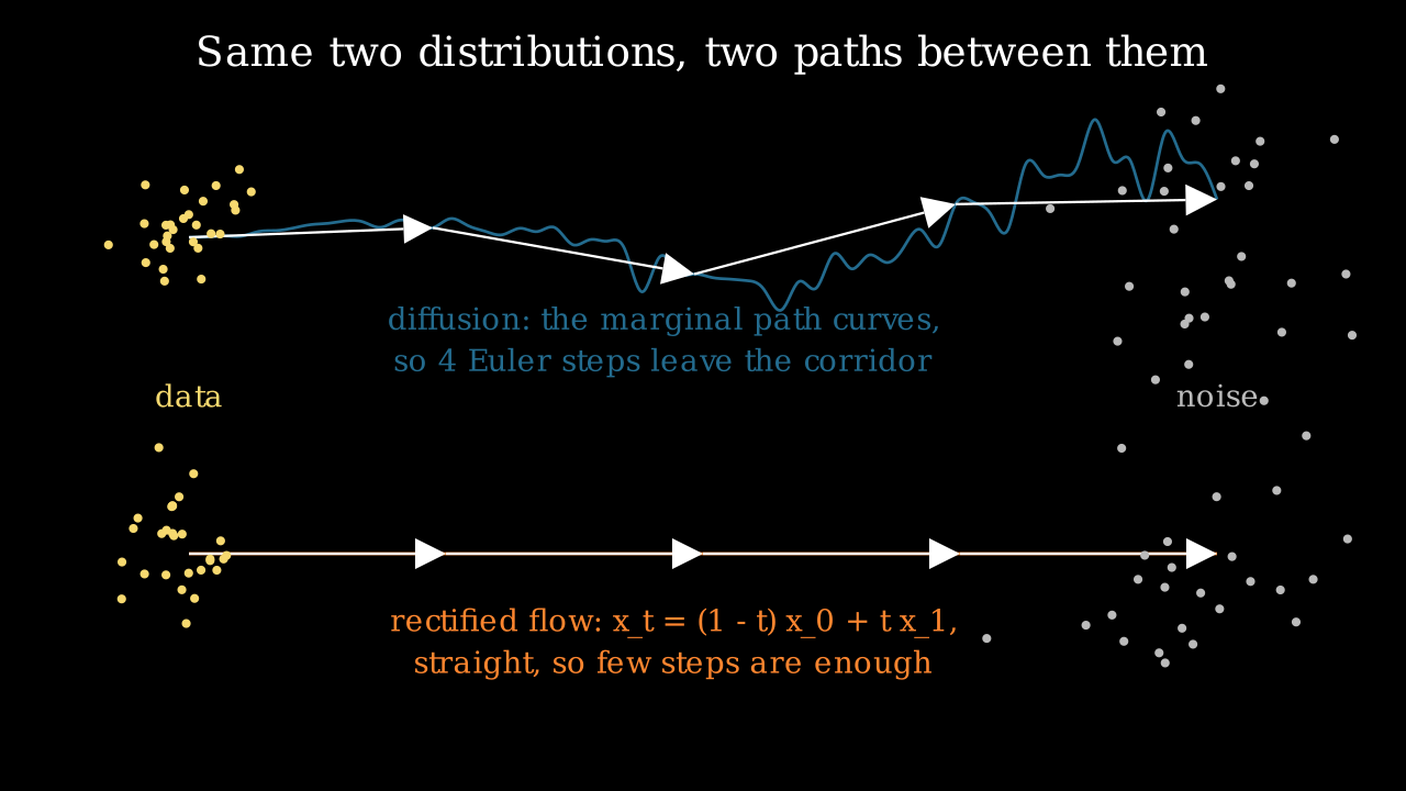 Forward diffusion path against the straight rectified-flow path